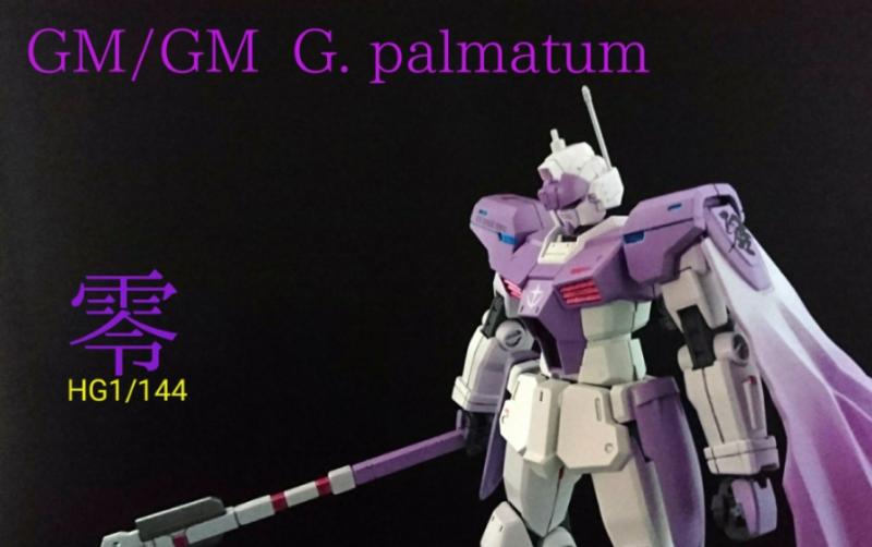 GM/GM  Glaucidium . palmatum画像１