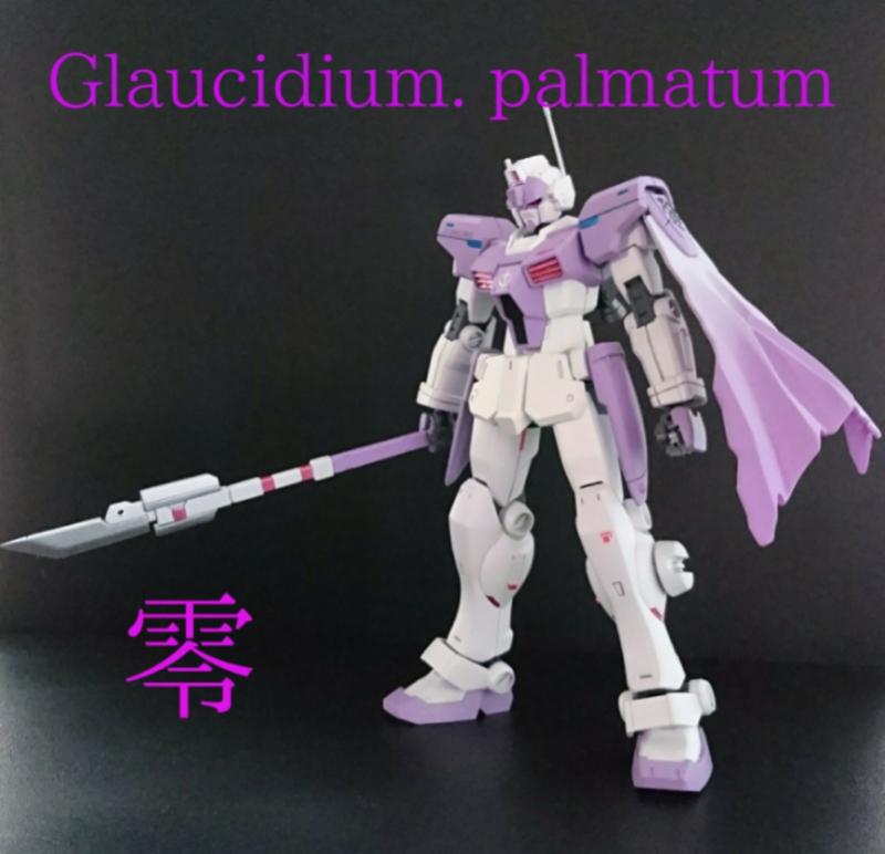 GM/GM  Glaucidium . palmatumサムネイル２